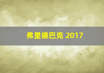 弗里德巴克 2017